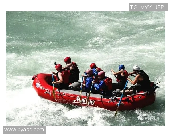 深圳乒乓球队总决赛精彩点评团队协作展现无遗的默契与实力